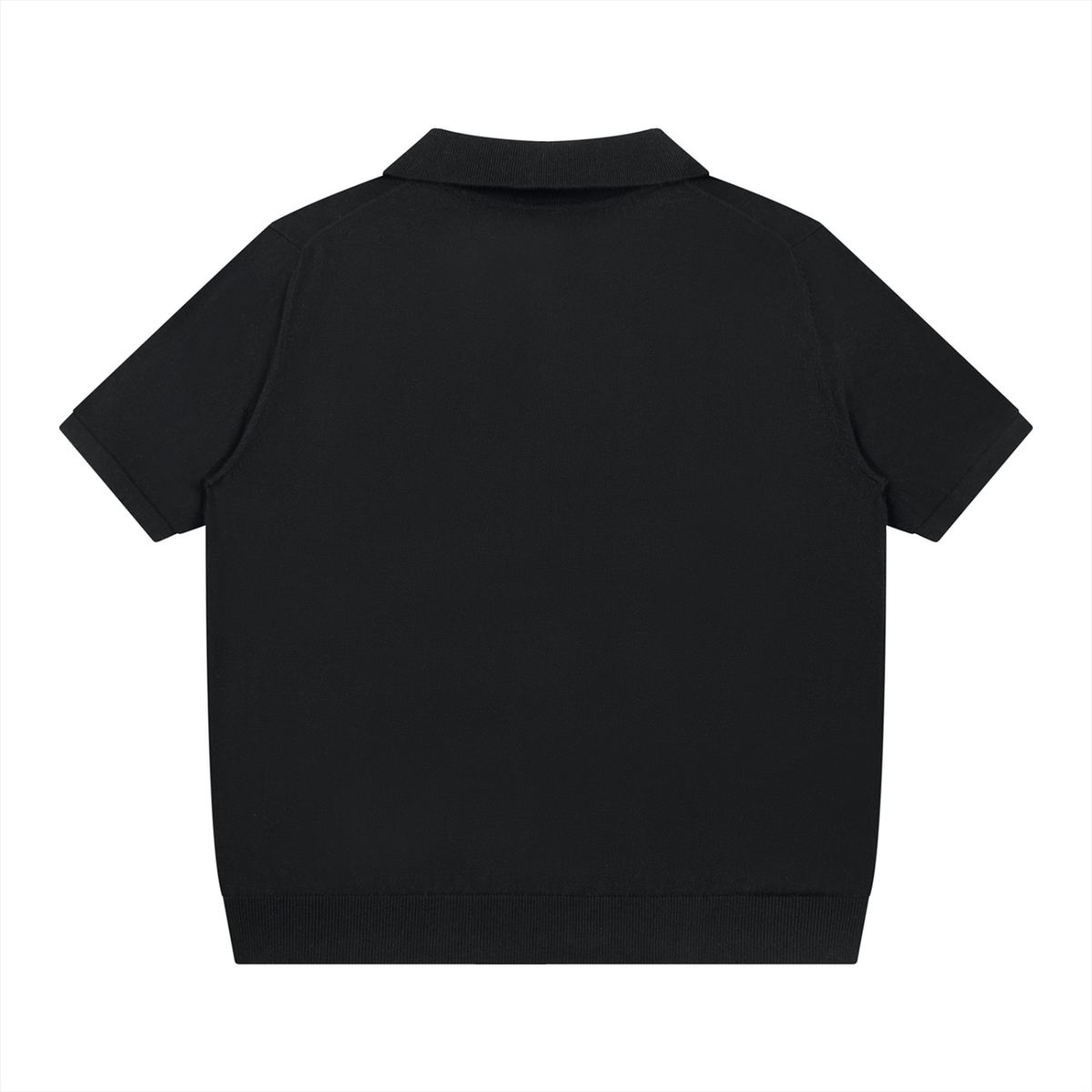 Cataloghaus™ Collegiate Heavyweight Ribbed Polo alternate product view